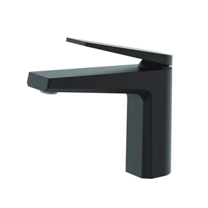 Singapore Black washbasin faucet