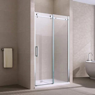 Shower door